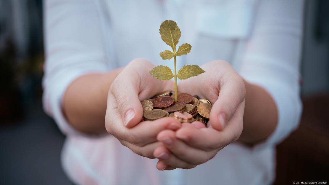 Pessoa segura em suas mais uma planta cercada por moedas Pessoa segura em suas mais uma planta cercada por moedas