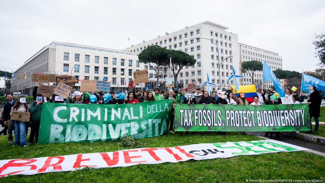 Ρώμη, «Fridays 4 Future»