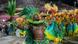 Brasilien Kultur I Karneval in Rio Brasilien Kultur I Karneval in Rio