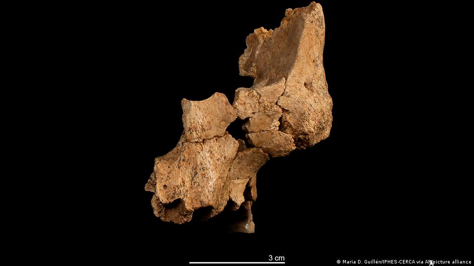 "Das älteste Gesicht Westeuropas" in Spanien entdeckt