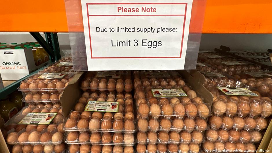 US updates: Trump administration seeks eggs from Denmark DW 03/14/2025