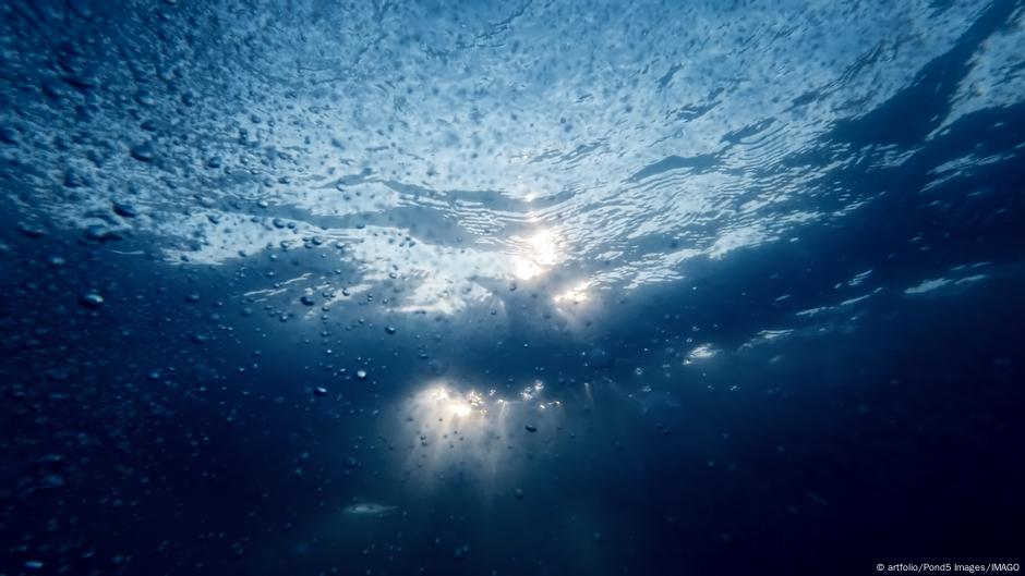 Conférence sur l'Océan : comment se porte la planète bleue ?