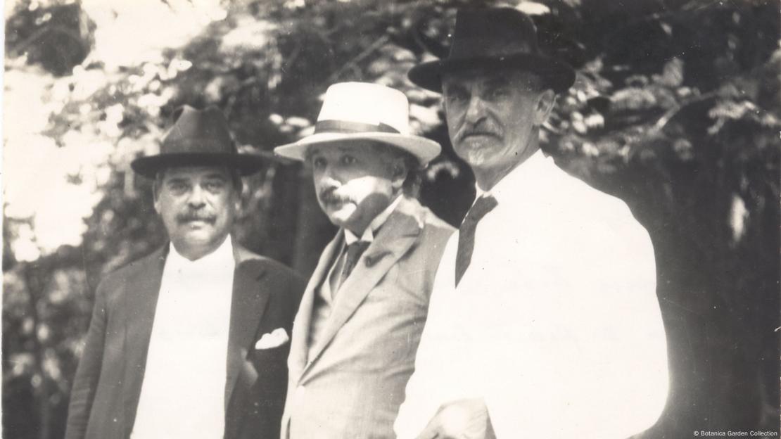 Albert Einstein (centro) em visita ao Jardim Botânico, na companhia de Pacheco Leão (esq.) e  Isaiah Raffalovich (dir.)