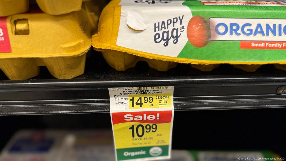 US egg shortage: Does Europe have any to spare? – DW – 03/20/2025