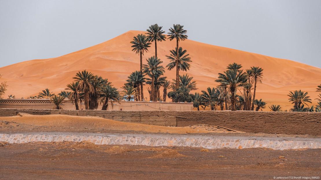 Palmeirais na cidade de Merzouga, no Marrocos.