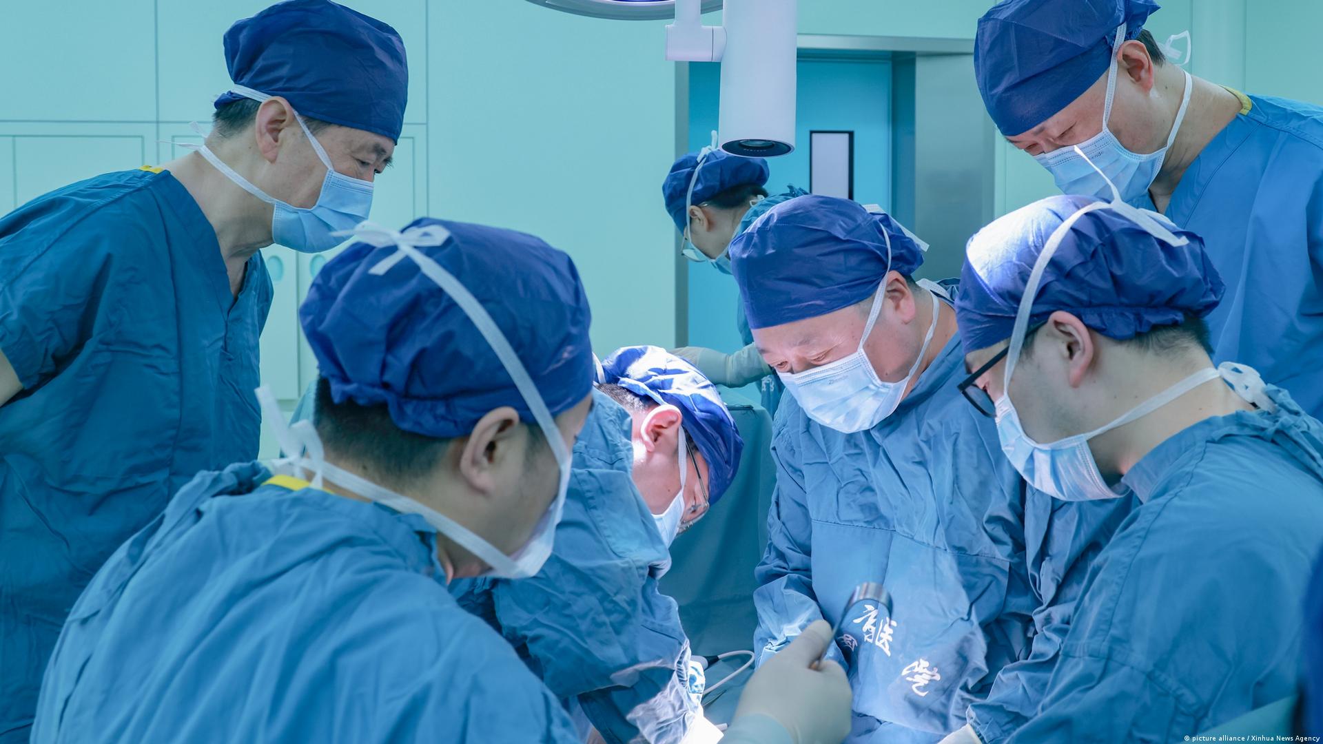 China: Surgeons conduct pig-to-human lung transplant