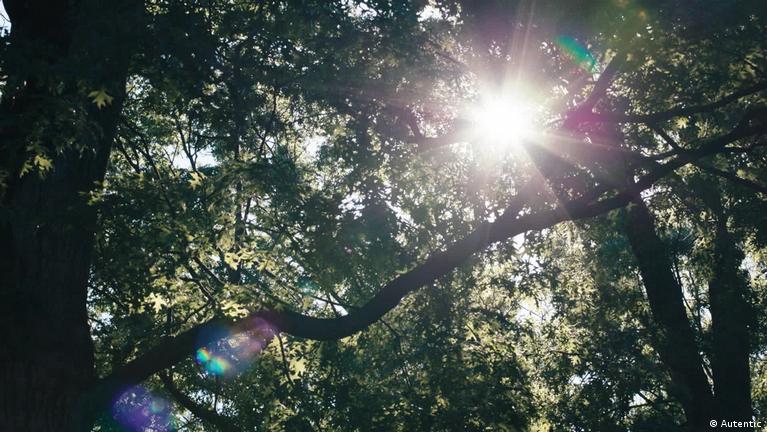 Life After Death Thanks To Ai