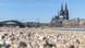 Low water levels on the Rhine River, seen in central Cologne Low water levels on the Rhine River, seen in central Cologne