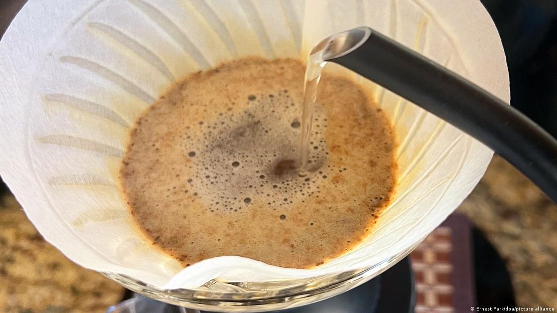 Las teteras de cuello de cisne permitieron un vertido preciso desde altura considerable, mejorando la extracción del sabor.