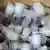Samples of garden ants concealed in syringes are presented to court on April 15, 2025.