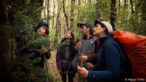 Rocío Urrutia y estudiantes en un bosque. Rocío Urrutia y estudiantes en un bosque.