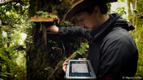 Jonathan Barichivich realiza mediciones en un árbol. Jonathan Barichivich realiza mediciones en un árbol.
