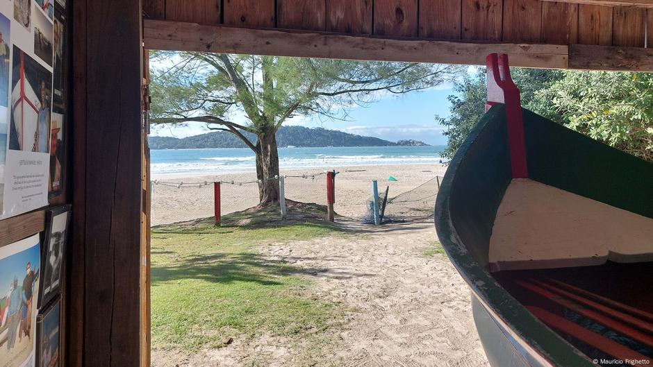 Pesca da tainha opõe conservação do oceano e tradição