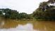 Pantano rodeado de árboles.