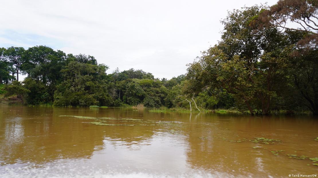 Pantano rodeado de árboles.