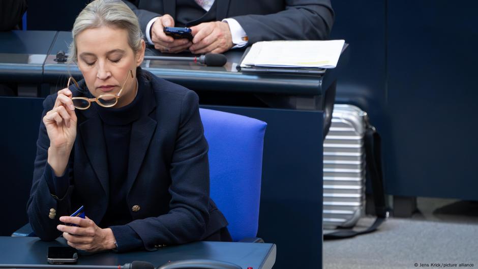 Kopredsednica AfD-a Alis Vajdel