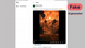 Screenshot of an X post showing a video with dramatic flames and palm trees under an orange sky Screenshot of an X post showing a video with dramatic flames and palm trees under an orange sky