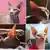 Animales en Instagram - ¿Likes aunque sufran?