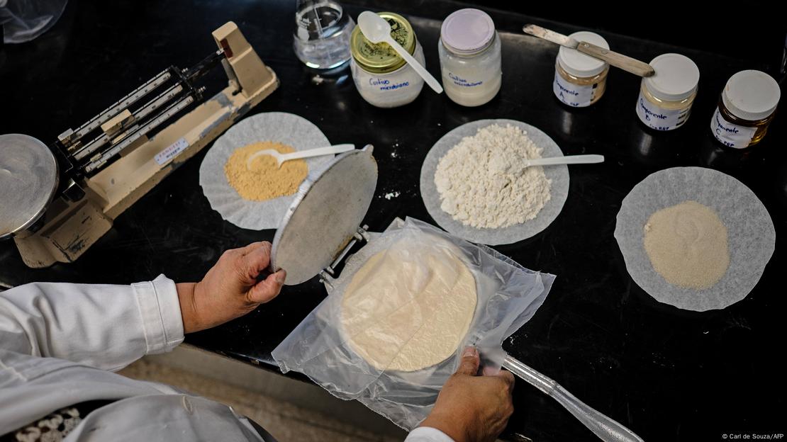 Las tortillas fermentadas con probióticos se mantuvieron frescas durante un mes gracias a la innovación desarrollada por la UNAM.