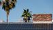 Solar panels on a rooftop, palm trees in the background Solar panels on a rooftop, palm trees in the background