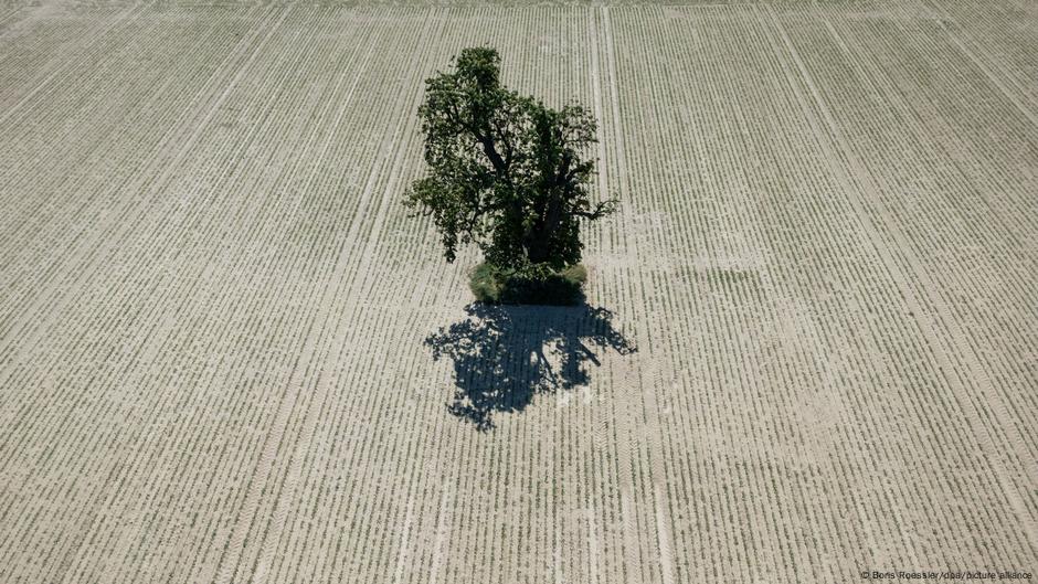 Bild des Tages: Akute Dürregefahr