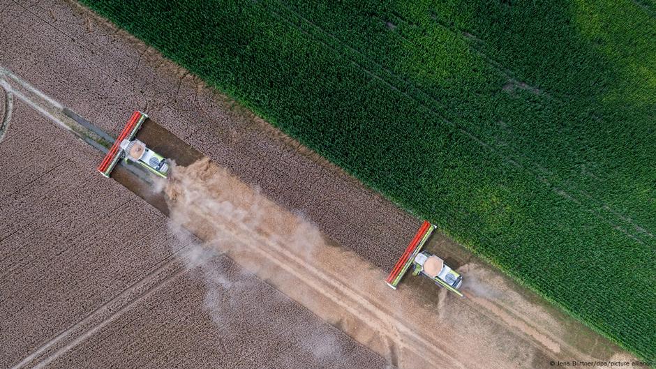 EU to ease green rules on farm aid subsidies  – DW – 05/14/2025