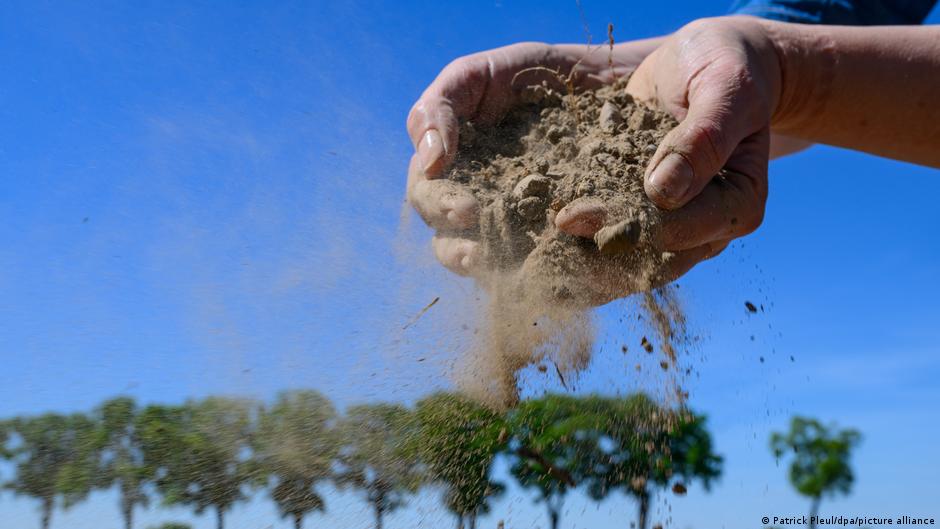 Alemania enfrenta dura sequía – DW – 01/06/2025