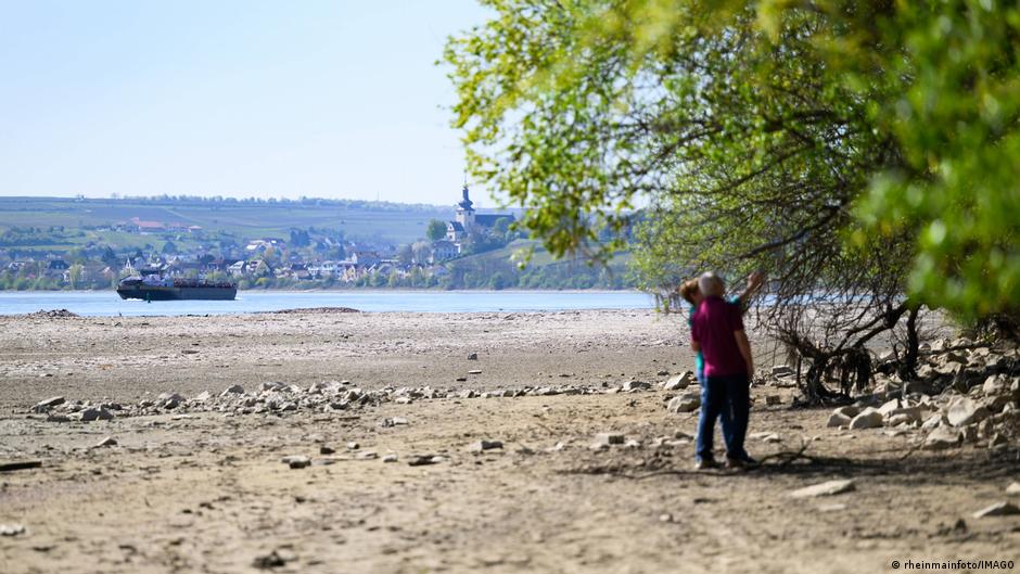 Уровень воды в Рейне в июле опустился до показателей начала осени