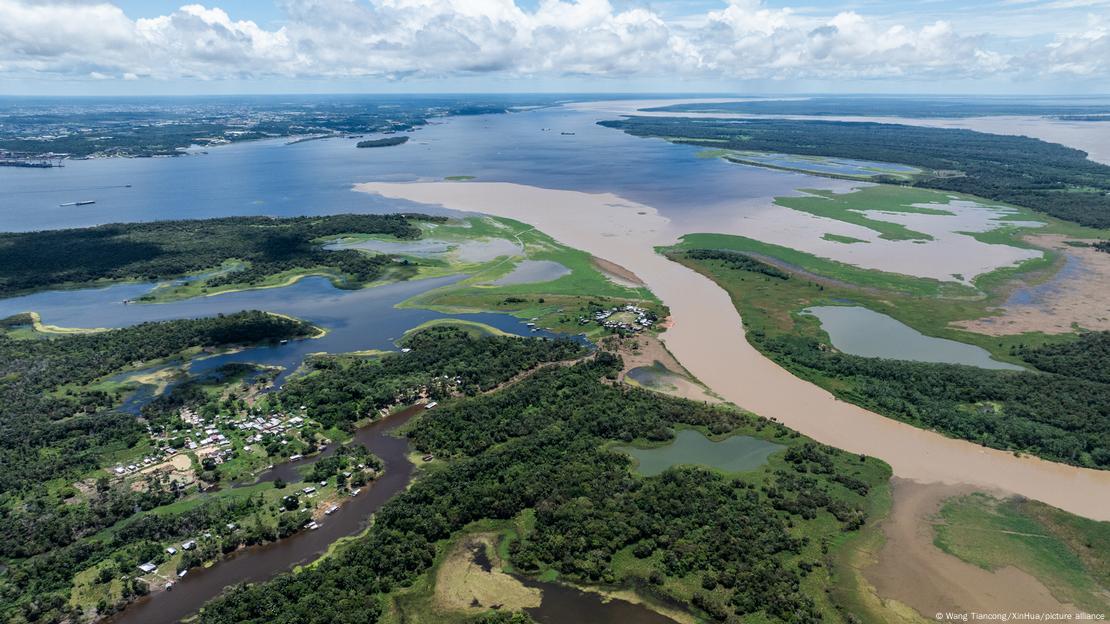 Rio Amazonas ostenta maior manguezal do mundo Rio Amazonas ostenta maior manguezal do mundo