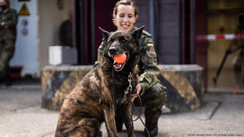 Narednica Zina Knisel obučava psa po imenu Kojot u kasarni Ulmen kod Koblenca