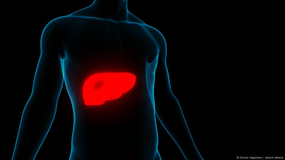 Hepatits je virus koji napada jetru.