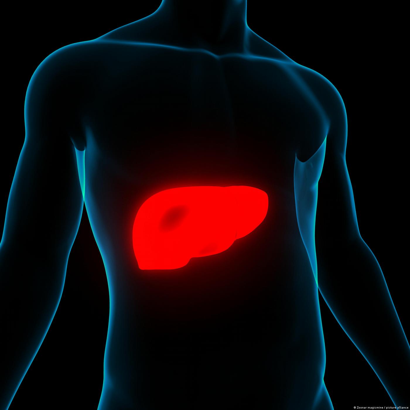 L’hépatite, une inflammation du foie sur lequel il faut sensibiliser