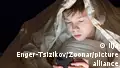 Will Germany impose an age limit for social media?