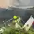 A plane crash in Korschenbroich, Germany