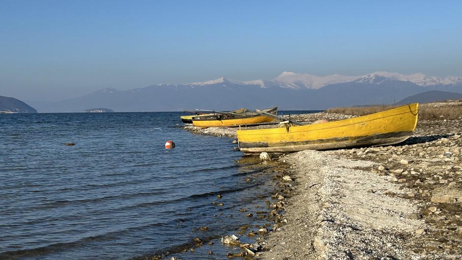 Rescuing Lake Prespa through cross-border activism