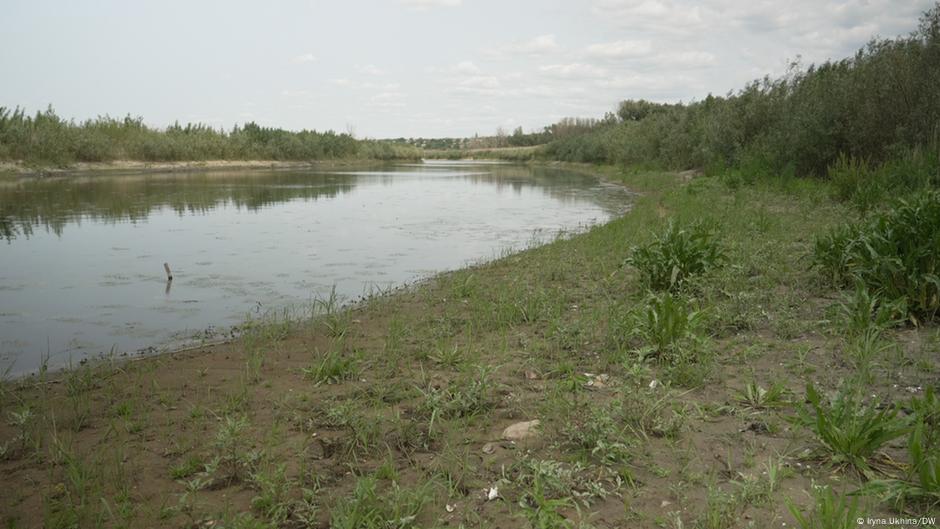 Novi ekosistem: mesto na kojem je nekada bilo akumulaciono jezero Kahovka