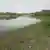 На месте бывшего Каховского водохранилища образуются новые экосистемы