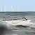 A sperm whale, which washed up on Hunstanton beach in Norfolk, is covered by water as the tide comes in.