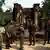 A Cambodian soldier (centre L) shakes hands with a Thai soldier (centre R) at the disputed ancient Khmer temple Prasat Ta Muen Thom, or Prasat Ta Moan Thom in Khmer, on the Cambodian-Thai border, on March 26, 2025