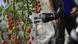 Artificial Intelligence in Agriculture - Fighting World Hunger Artificial Intelligence in Agriculture - Fighting World Hunger