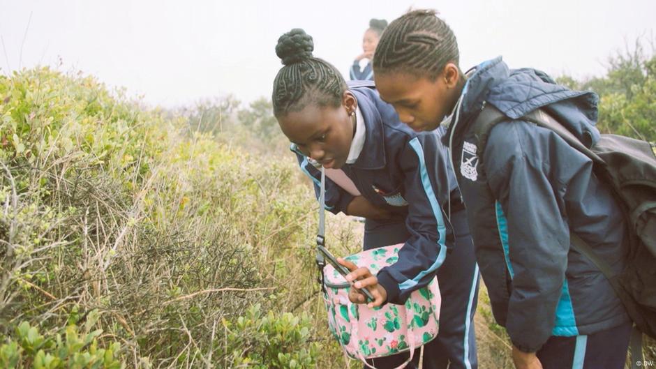 Cape Town residents unite to document urban biodiversity – DW – 06/16/2025