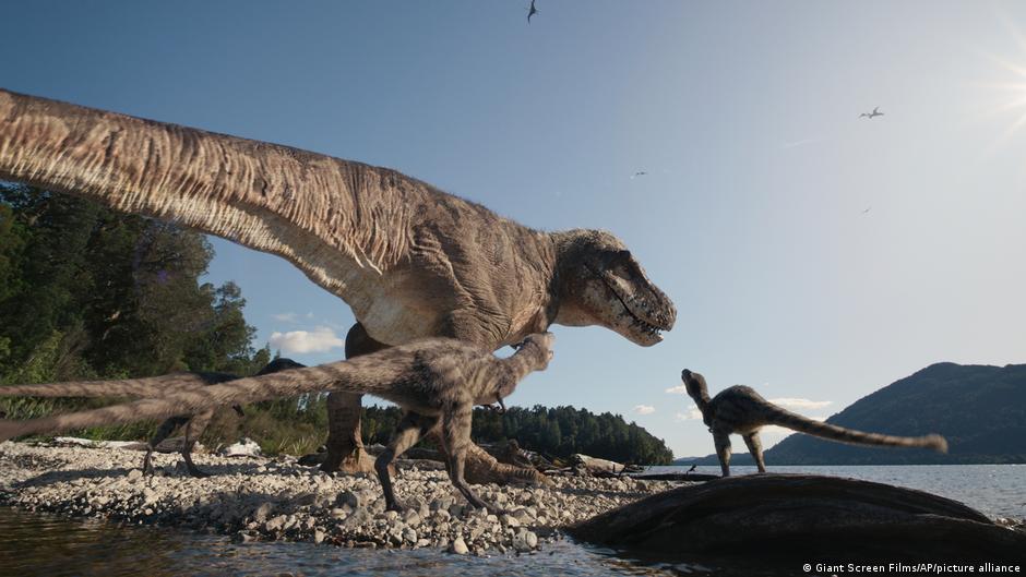 ¿Cuánto tardaba un T. rex en alcanzar su tamaño de adulto?