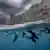 Chile es el tercer país en protección de sus aguas jurisdiccionales, detrás de Palau y de Panamá, siendo uno de los líderes mundiales en protección marina.