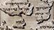 Los Rollos del Mar Muerto (foto), descubiertos en las cuevas de Qumrán, son uno de los próximos objetivos de análisis para el equipo investigador, que planea aplicar su innovadora técnica de inteligencia artificial a estos antiguos manuscritos.