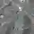 Esta imagen satelital tomada hace tres días, muestra camiones estacionados cerca de la entrada de la Planta de Enriquecimiento de Combustible Fordo de Irán, al noreste de la ciudad de Qom, que Estados Unidos asegura quedó completamente destruida. (19.06.2025)