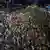 Protesters gather in Tel Aviv on June 28, 2025, demanding a ceasefire in Gaza and the return of Israeli hostages.