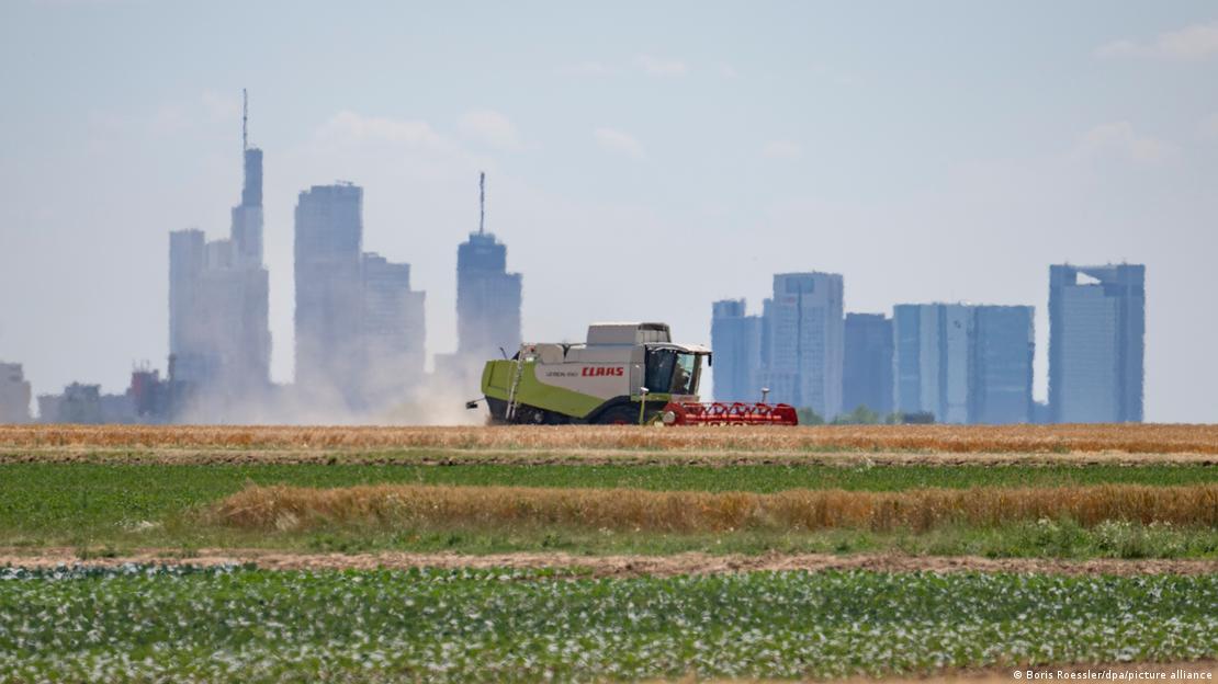 A farmer on a field with Frankfurt's skyline in the far background