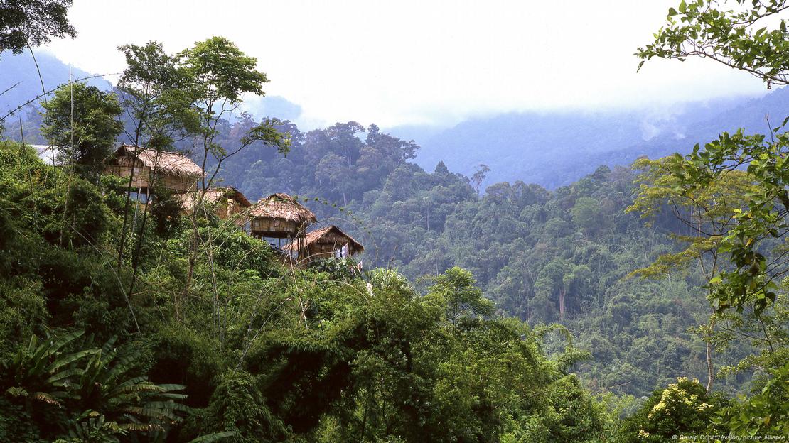 Asentamiento de los Orang Asli en las Cameron Highlands de la Malasia peninsular, una de las poblaciones indígenas estudiadas en la investigación sobre inflamación y envejecimiento. Asentamiento de los Orang Asli en las Cameron Highlands de la Malasia peninsular, una de las poblaciones indígenas estudiadas en la investigación sobre inflamación y envejecimiento.