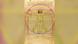 La construcción geométrica de Leonardo da Vinci reveló un patrón hexagonal basado en el triángulo equilátero que genera la proporción tetraédrica de 1,64, anticipando principios de optimización natural. La construcción geométrica de Leonardo da Vinci reveló un patrón hexagonal basado en el triángulo equilátero que genera la proporción tetraédrica de 1,64, anticipando principios de optimización natural.
