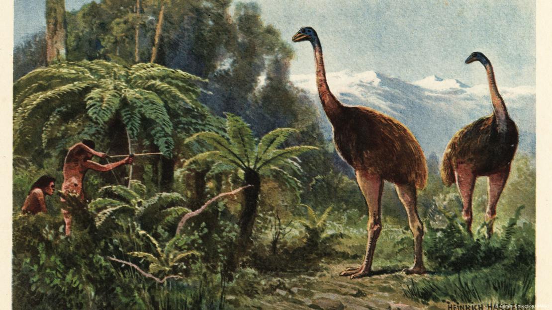 Moas siendo cazados por antiguos habitantes de Nueva Zelanda.